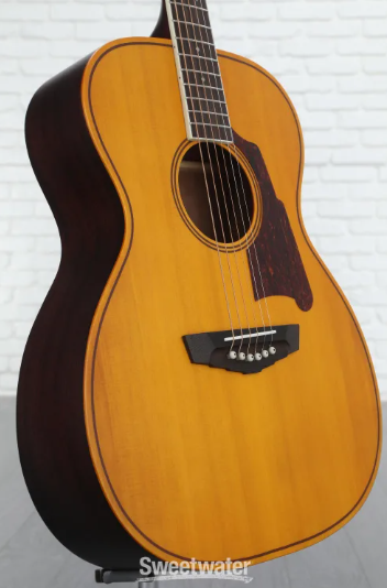 D'Angelico Premier Tammany XT